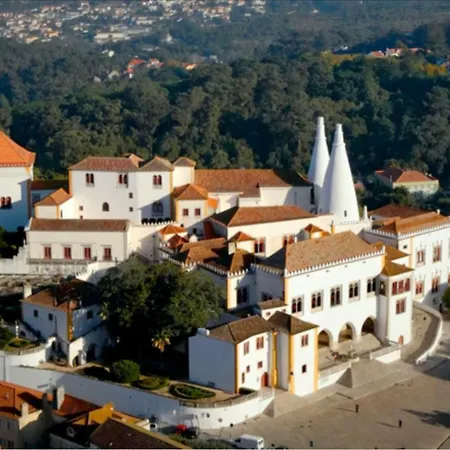 Mucifal D Nyaraló
